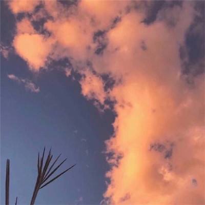 洗冤战神录破解版下载