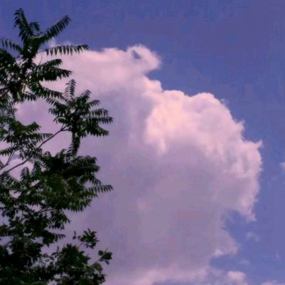 霸道剑灵觉醒变态版下载